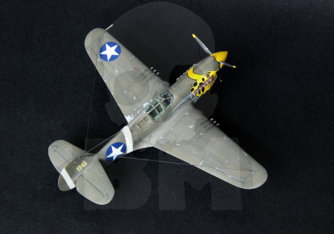 Mistercraft D-202 P-40E Aleutian Tiger 1:72