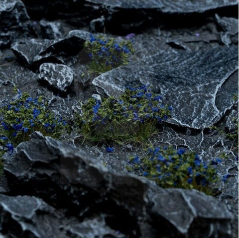 Gamers Grass: Blue Flowers (Wild)