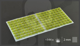 Gamers Grass: Grass tufts - 2 mm - Moss (Small)