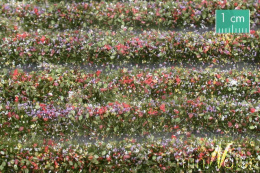 Tuft - Paski kwitnących kolorowych roślin 67 cm