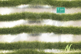 Tuft - Paski wczesnojesiennej trawy 15x4cm