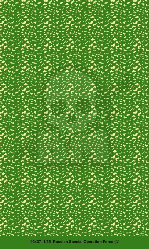 Trumpeter 00437 Russian Special Operation Force 1:35