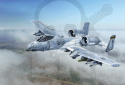 1:48 A-10C Thunderbolt II Blacksnakes