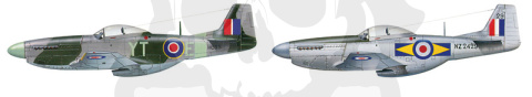 1:72 F-51D Mustang