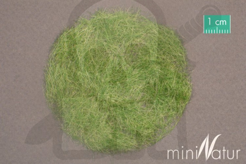 MiniNatur: Trawa elektrostatyczna - Wczesnojesienna zieleń 6,5 mm (100 g)