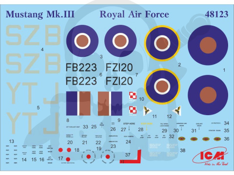 Mustang Mk.III WWII RAF Fighter i Polski Dywizjon 316 Warszawski 1:48 Mustang Mk.III WWII RAF Fighter i Polski Dywizjon 316 Warszawski 1:48