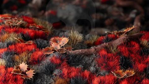 Gamers Grass: Grass tufts - 6 mm - Alien Blood Moon (Wild) Gamers Grass: Grass tufts - 6 mm - Alien Blood Moon (Wild)