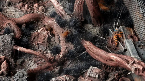 Gamers Grass: Grass tufts - 6 mm - Alien Void (Wild) Gamers Grass: Grass tufts - 6 mm - Alien Void (Wild)