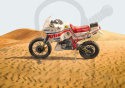 1:9 Yamaha Tenere' 660cc Paris Dakar 1986