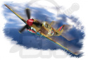 Hobby Boss 80251 P-40M Warhawk 1:72