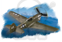 Hobby Boss 80252 P-40N Warhawk 1:72