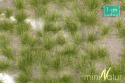 MiniNatur: Tuft - Długa wczesnojesienna trawa 12 mm (42x15 cm)