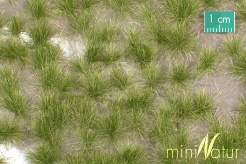 MiniNatur: Tuft - Długa wczesnojesienna trawa 12 mm (42x15 cm)