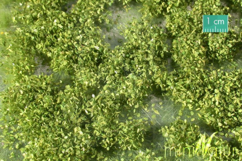 MiniNatur: Tuft - Wiosenne chwasty 1 (42x15 cm)