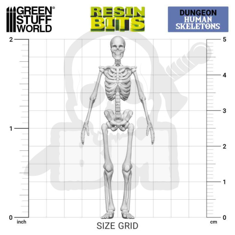 3D printed set Human Skeletons 1:35 - ludzkie szkielety 4 szt. 3D printed set Human Skeletons 1:35 - ludzkie szkielety 4 szt.