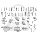 3D printed set Animal Bones 1:48 - kości zwierząt 52 szt.