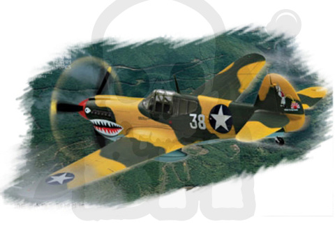 Hobby Boss 80250 P-40E Kittyhawk 1:72