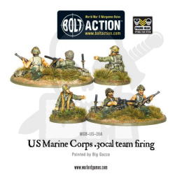 US Marines Corps 30.cal team firing