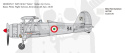 1:48 Fiat Cr.42 Battle of Britain 80th Anniversary
