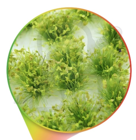 Shrubs Tufts - 6mm self-adhesive - Light Green - jasnozielone kępki roślin