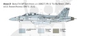 1:48 F/A-18F Super Hornet U.S. Navy Special Colors