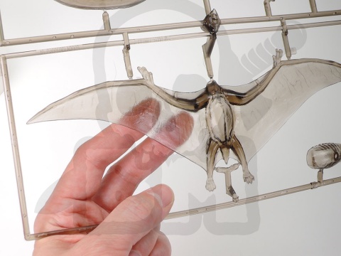 1:35 Tamiya 60204 Pteranodon - model do sklejenia