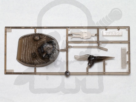 1:35 Tamiya 60204 Pteranodon - model do sklejenia