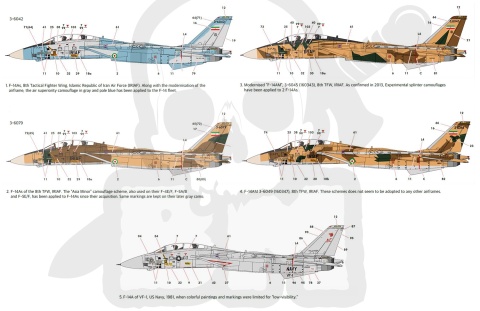 Academy 12594 Grumman F-14 A Tomcat IRIAF - Iranian Air Force 1:72