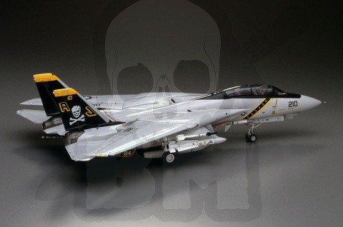 Hasegawa E03 F-14A Tomcat (High Visibility) 1:72