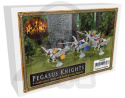 Pegasus Knights - 4 rycerzy na pegazach