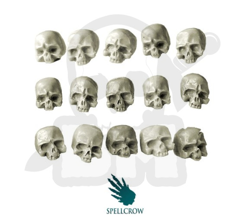 Ludzkie czaszki 15 szt. Human Skulls