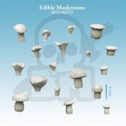 Edible Mushrooms - grzybki grzyby 18 szt.