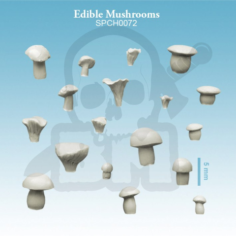 Edible Mushrooms - grzybki grzyby 18 szt.