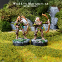 Wood Elves Silver Arrows v.1 2 szt.