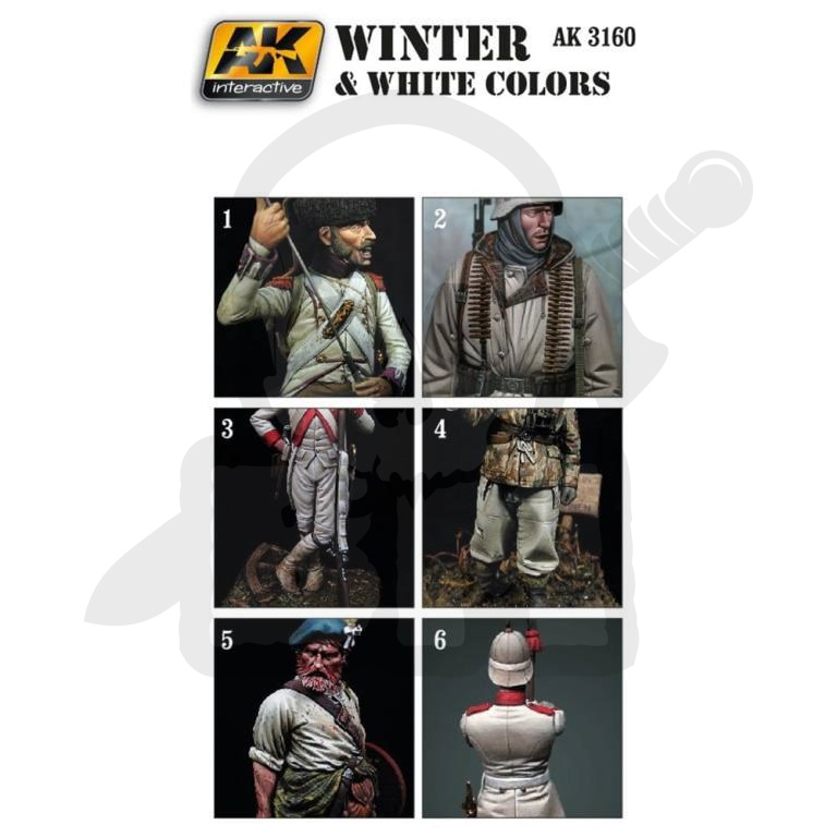 AK Interactive AK3160 Winter & White Colors Set