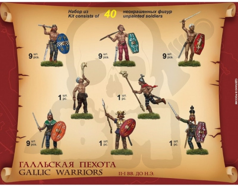 1:72 Gallic Infantry