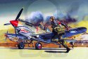 Academy 12456 P-40B 1:72